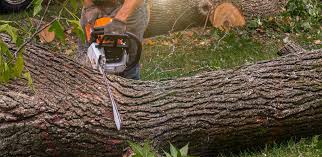 Landscape Design and Installation in Montauk, NY